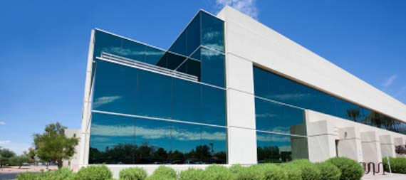Your Company